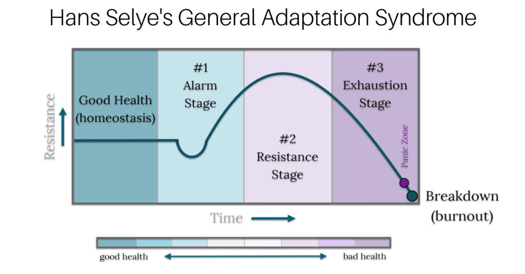 Hans Selye's General Adaptation Syndrome